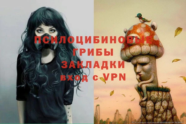 mix Арсеньев